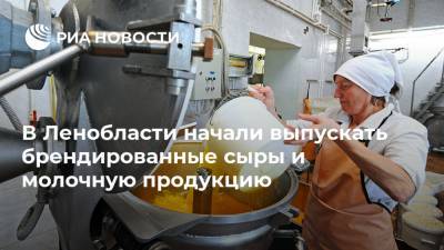 В Ленобласти начали выпускать брендированные сыры и молочную продукцию