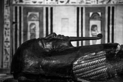 Археологи раскрыли тайну смерти фараона Тутанхамона - Cursorinfo: главные новости Израиля