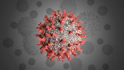 В мире на коронавирус заболело уже более 27 млн человек, почти 900 тыс. - умерли