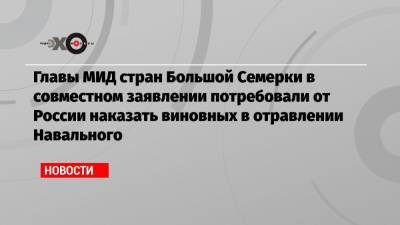 Главы МИД стран Большой Семерки в совместном заявлении потребовали от России наказать виновных в отравлении Навального