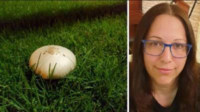 Мать и четверо детей отравились грибами с поляны в центре Израиля