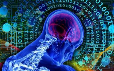 Ученые нашли в организме человека «второй мозг»