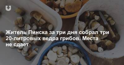 Житель Пинска за три дня собрал три 20-литровых ведра грибов. Места не сдает