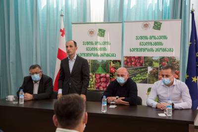 В Шида Картли открыт координационный штаб для реализации урожая яблок