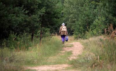 В Житковичском районе 97-летняя бабушка ушла в лес за грибами и потерялась. Ее не могут найти вторые сутки