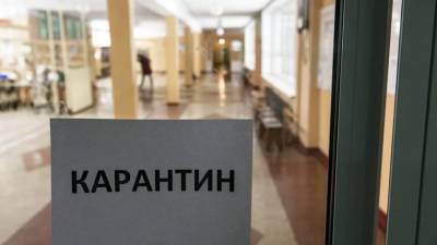 В Новгородской области школу закрыли на карантин из-за инфекции