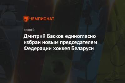 Дмитрий Басков единогласно избран новым председателем Федерации хоккея Беларуси