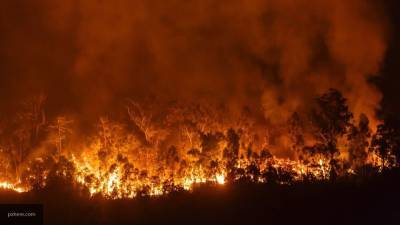 Сотрудники МЧС тушат лесной пожар площадью 130 гектаров под Воронежем