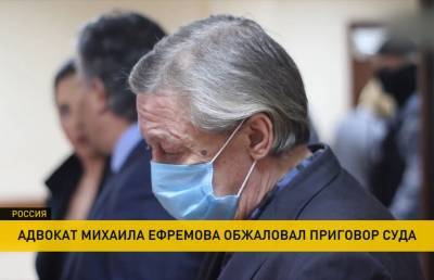 Адвокат Михаила Ефремова обжаловал приговор суда за смертельное ДТП