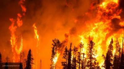 Природный пожар охватил около 130 гектаров в Воронежской области