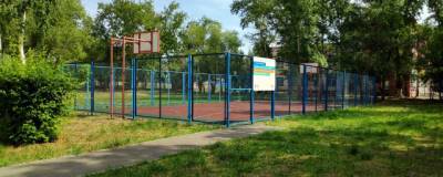 До конца года в Омске появятся пять новых спортивных площадок