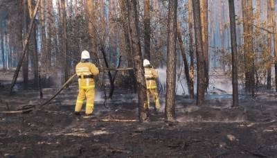 Площадь ландшафтного пожара в Воронежской области выросла до 130 га