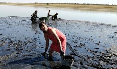Под Ростовом жители спасли рыбу и черепах из «закипающего» пруда