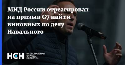 МИД России отреагировал на призыв G7 найти виновных по делу Навального