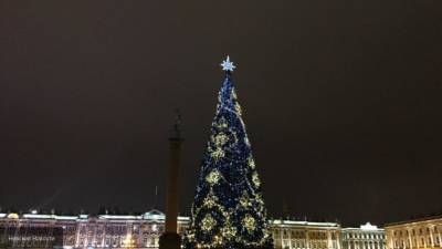 Новогодние елки для Петербурга закупят на 18 млн рублей
