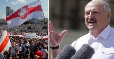 Лукашенко обвинил Польшу, Чехию, Украину и Литву в протестах