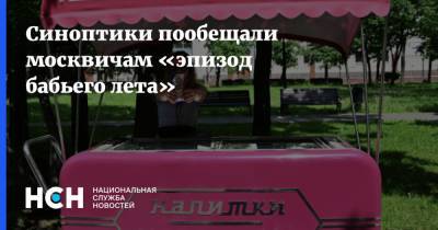 Синоптики пообещали москвичам «эпизод бабьего лета»