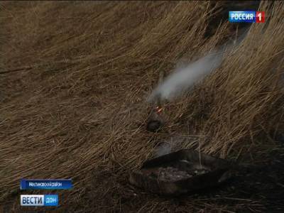 Чрезвычайная пожароопасность сохранится на большей части Ростовской области до 12 сентября