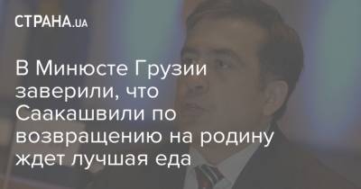 В Минюсте Грузии заверили, что Саакашвили по возвращению на родину ждет лучшая еда