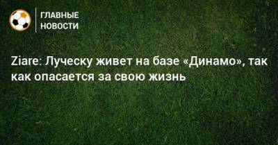 Ziare: Луческу живет на базе «Динамо», так как опасается за свою жизнь