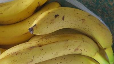 В порту Одесской области среди бананов нашли кокаин на 17 млн долларов