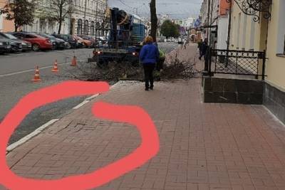 В Ярославле на центральной улице спилили все деревья