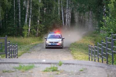 В Свердловской области дачники собираются на стихийную акцию против перекрытия дороги