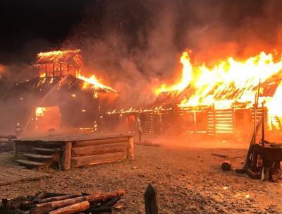 Спасатели потушили пожар на площадке "Главкино" в Подмосковье
