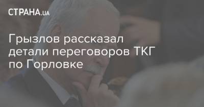 Грызлов рассказал детали переговоров ТКГ по Горловке