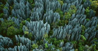 Как на Земле возникают «каменные леса»: чудо природы