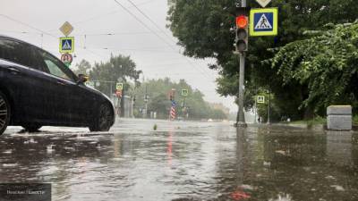Сильный дождь и штормовой ветер накроют Петербург в четверг