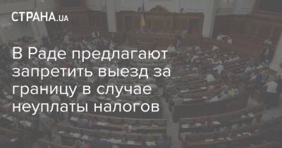 В Раде предлагают запретить выезд за границу в случае неуплаты налогов - strana.ua - Украина