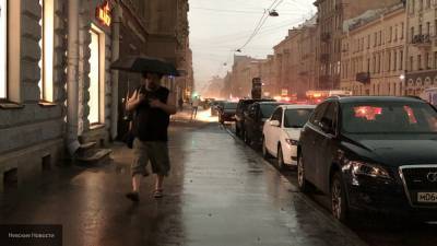 МЧС предупредило жителей Петербурга о ливнях и штормовом ветре в четверг