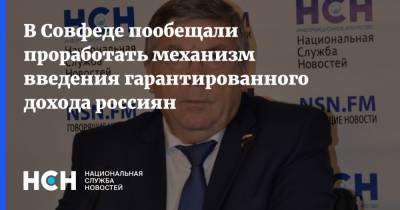 В Совфеде пообещали проработать механизм введения гарантированного дохода россиян