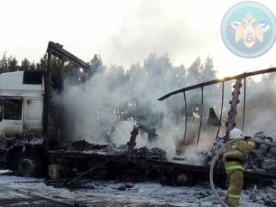 На трассе в Башкирии горел грузовик