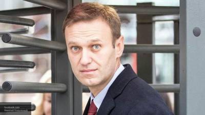 Железняк выступил против "навешивания ярлыков" по ситуации с Навальным