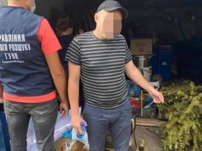 У жителя Харьковщины изъяли более 200 кустов конопли