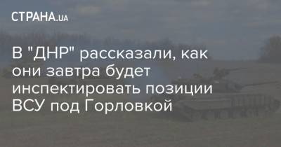 В "ДНР" рассказали, как они завтра будет инспектировать позиции ВСУ под Горловкой