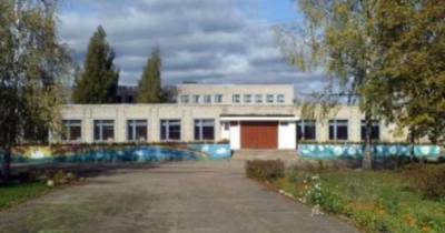 Риновирус нашли в школе под Новгородом, где заболели более ста детей