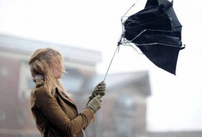 МЧС предупреждает: в Ленобласти ожидаются ливни и порывы ветра до 23 м/с