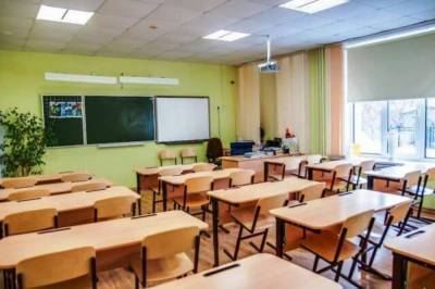 В правительстве анонсировали проверку в русскоязычных школах: причина