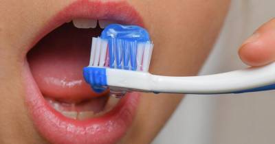 Стоматолог рассказал о вреде зубных щеток