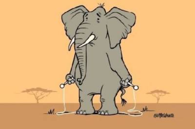 Вот почему слоны не умеют прыгать