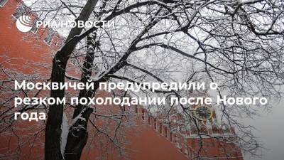 Москвичей предупредили о резком похолодании после Нового года