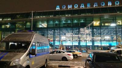 После задержек авиарейсов Домодедово возобновил штатный режим работы