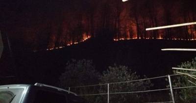 Лесной пожар у горы Пикет в Сочи потушен