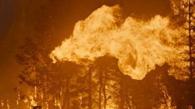 Крупный пожар в Сочи ликвидирован МЧС