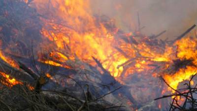 Крупный лесной пожар потушили в Сочи