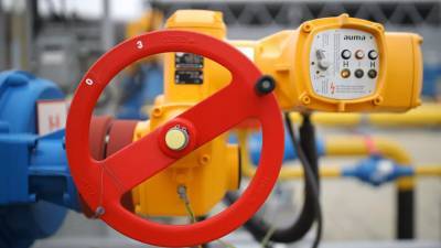 Компания-оператор оценила объёмы поставок по газопроводу через Сербию