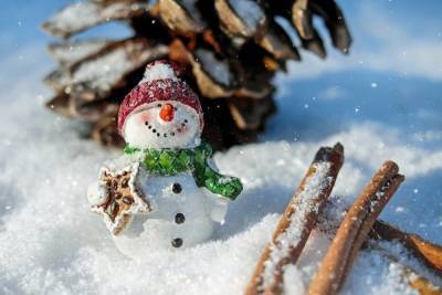 Поющий и танцующий снеговик встретит томичей в ледовых городках